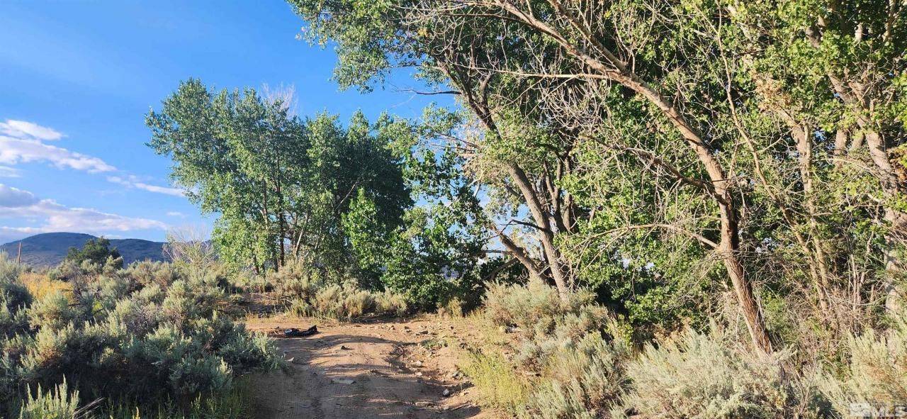 5155 E Hwy 50, Carson City, NV 89701 Photo