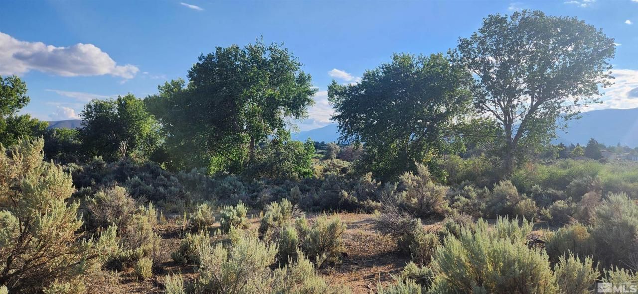 5155 E Hwy 50, Carson City, NV 89701 Photo