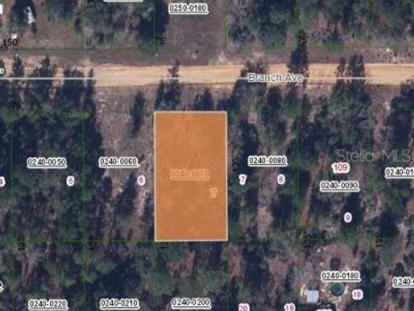 115 BRANCH AVENUE, INTERLACHEN, FL 32148