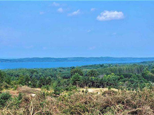Cemetery Road, Alden, MI 49612