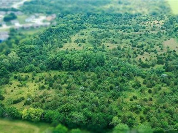 Madison Drive, Raymore, MO 64083