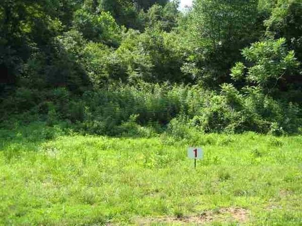 Lot #1 Short White Oak, Russell, KY 41169