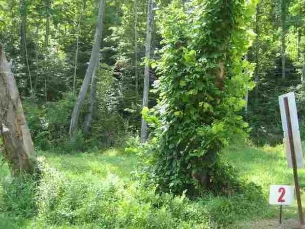 Lot #2 Short White Oak, Russell, KY 41169