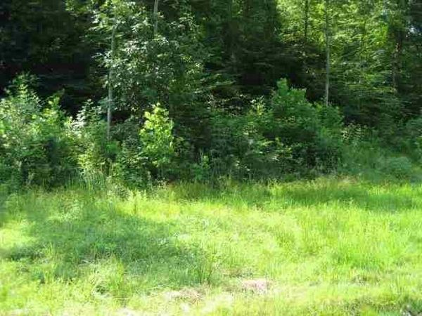 Lot #3 Short White Oak, Russell, KY 41169