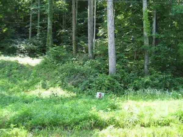 Lot #5 Short White Oak, Russell, KY 41169