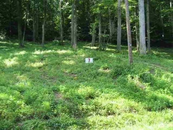 Lot #7 Short White Oak, Russell, KY 41169