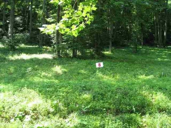 Lot #8 Short White Oak, Russell, KY 41169
