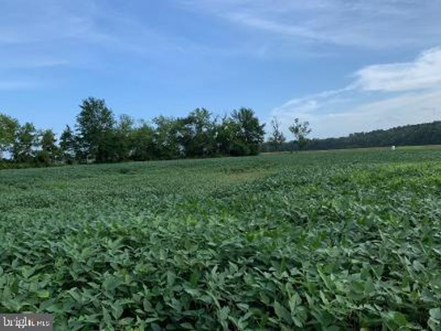 0 Grays Corner Road, Berlin, MD 21811 Main Photo