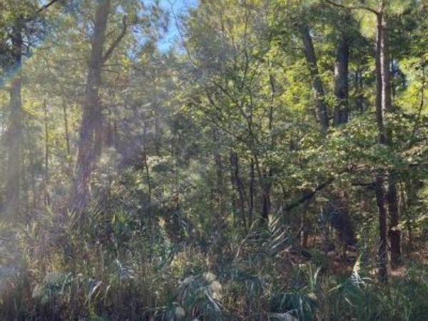 PARSONS DRIVE, MADISON, MD 21648