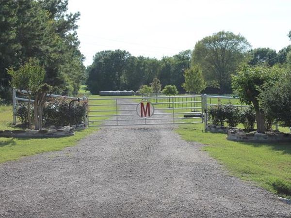 5001 VZ CR 4915 Road, Ben Wheeler, TX 75754