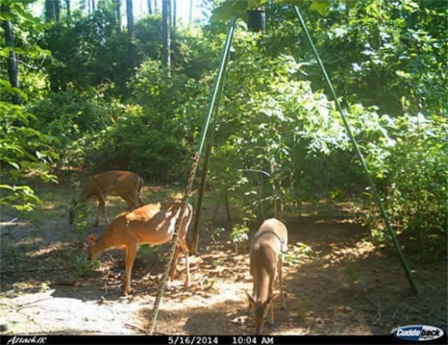 905 W Main Street, Ore City, TX 75683 Main Photo