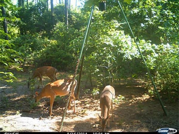 905 W Main Street, Ore City, TX 75683