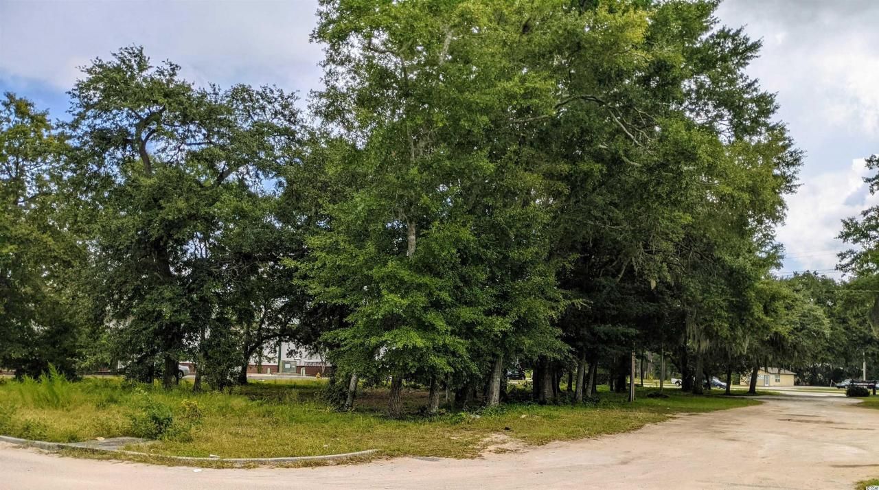 4500 Highway 17 Bypass Photo 3