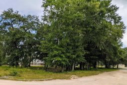 4500 Highway 17 Bypass photo 4