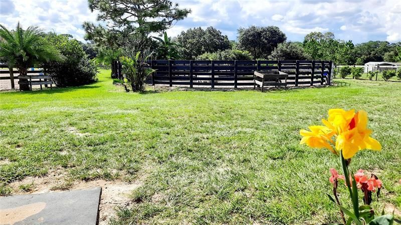 14012 S Magnolia Avenue, Ocala, FL 34473 Photo