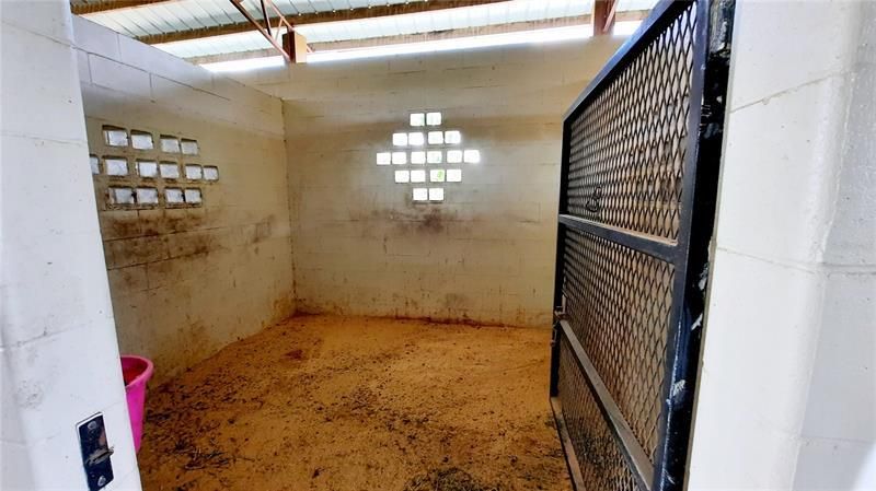 14012 S Magnolia Avenue, Ocala, FL 34473 Photo