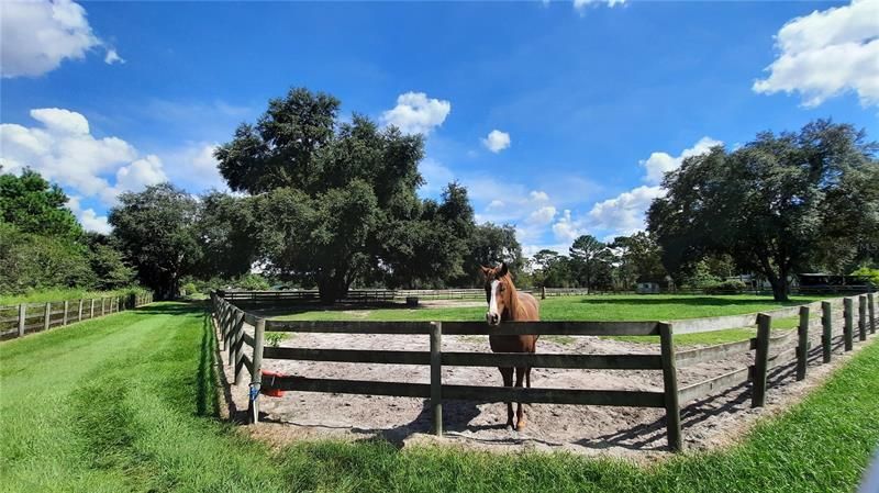 14012 S Magnolia Avenue, Ocala, FL 34473 Photo