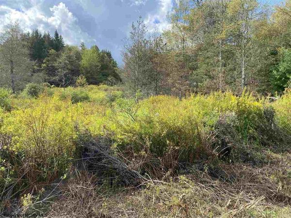 lot 47 Mountain View Circle, Davis, WV 26260