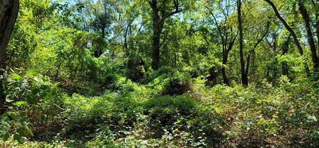 101 Will Street, Waxahachie, TX 75165 Main Photo