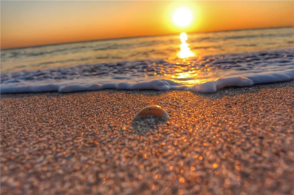 805 46th Place E, Unit 3N, Vero Beach, FL 32963 Photo