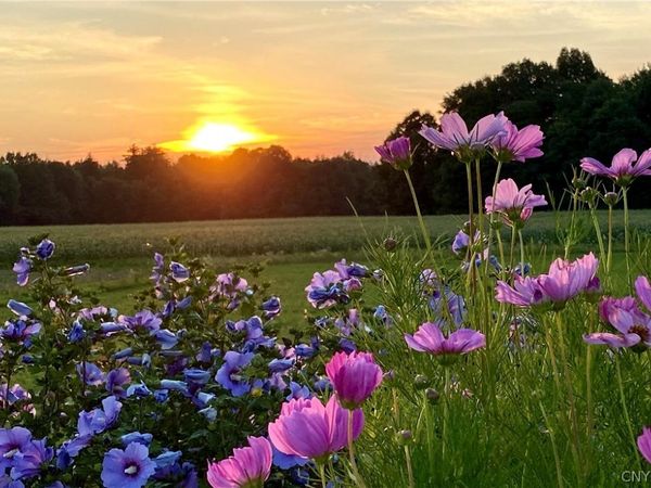 8714 Henry Clay Boulevard, Clay, NY 13041