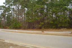 Parcel A Palmetto Pointe Blvd. photo 4