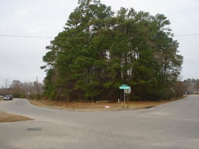 Parcel A Palmetto Pointe Blvd. Photo 6