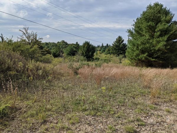 21150 M-68, Onaway, MI 49765