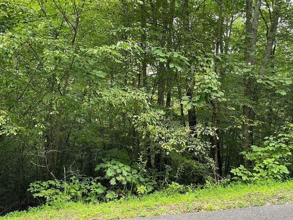 LOT 7 Bear Trail, Hiawassee, GA 30546