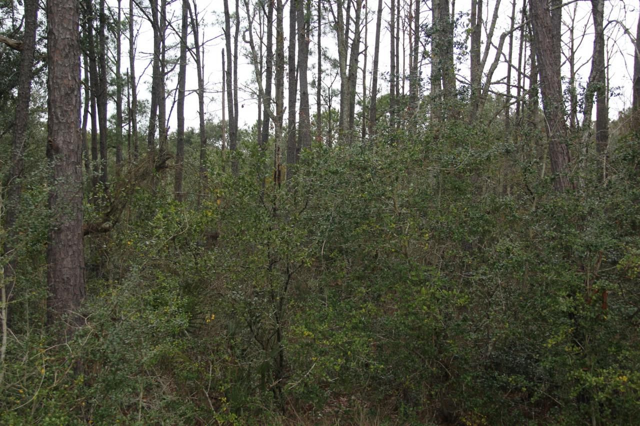 0 Lieben Rd. Photo 12