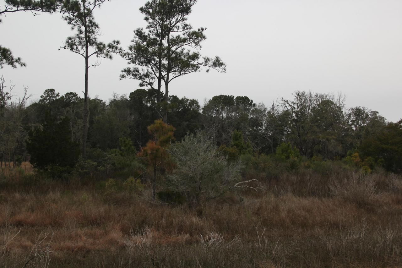 0 Lieben Rd. Photo 15