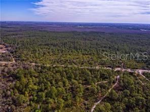 International Drive, Orlando, FL 32821 Photo