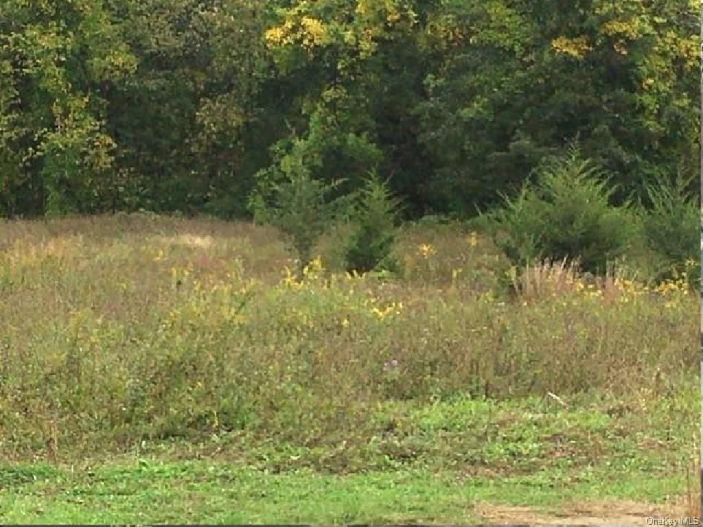 1055 Route 82, Hopewell Junction, NY 12533 Main Photo