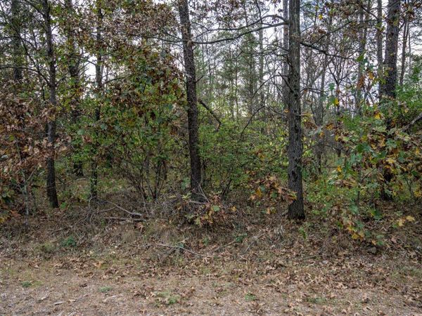 Lots 237 & 242 Woodland Trail, New Lisbon, WI 53950