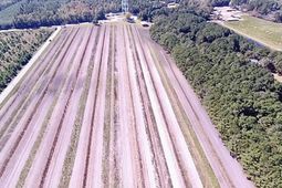 150 Second Chance Lane photo 4