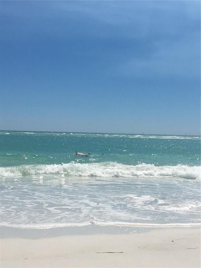 Please Call For Address, Sarasota, FL 34236 Photo