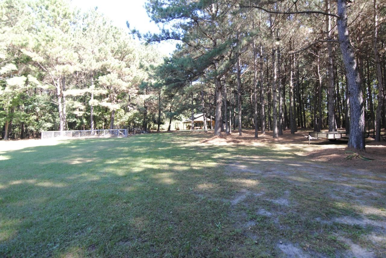 2356 State Road Photo 10