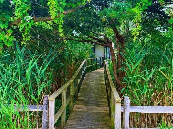 30 Gale Walk, Seaview, NY 11770