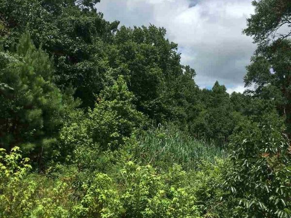 Mulberry Street, Vaiden, MS 39176