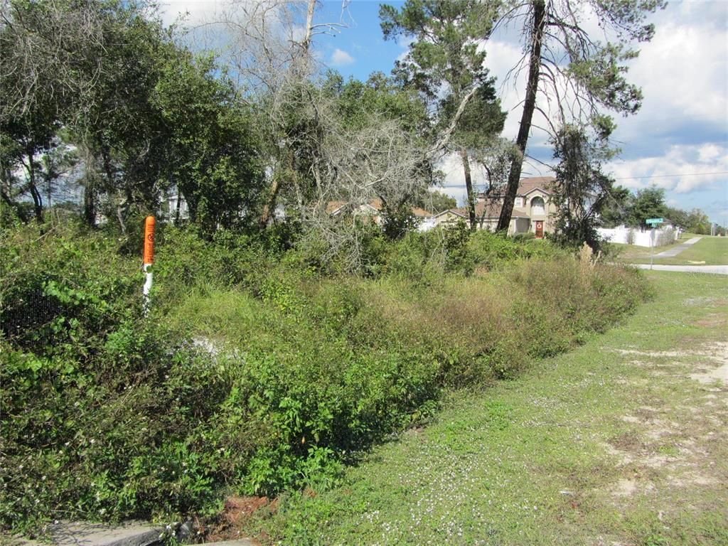 1688 Catalina Blvd, Deltona, FL 32738 Photo