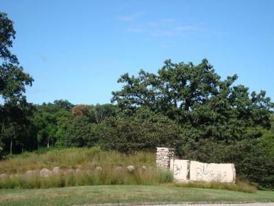 Lot #39 E Longwood Drive, Woodstock, IL 60098 Main Photo