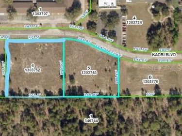 12160 KADRI BOULEVARD, SPRING HILL, FL 34608