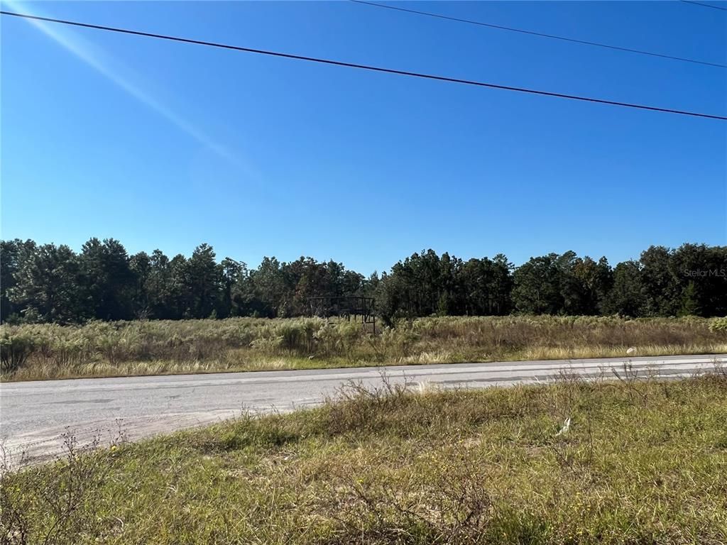 12160 Kadri Boulevard, Spring Hill, FL 34608 Photo