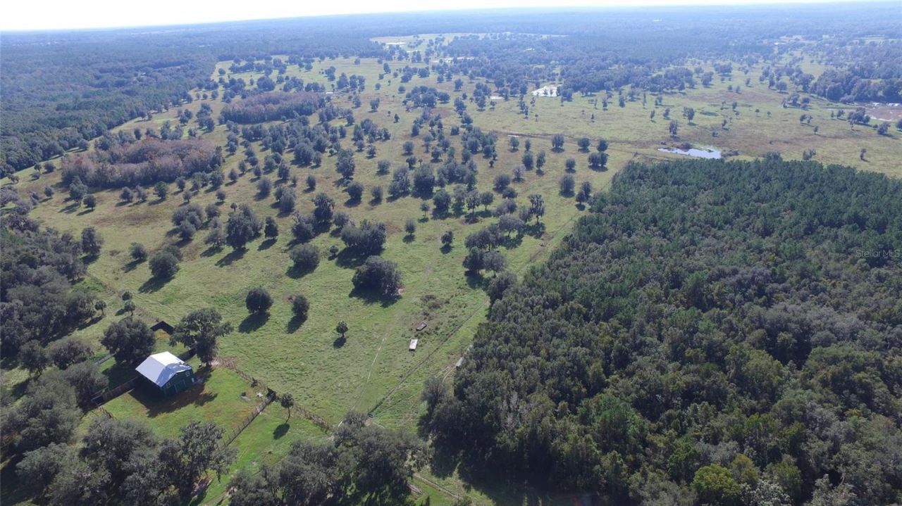 19350 NW 123rd Court, Micanopy, FL 32667 Photo