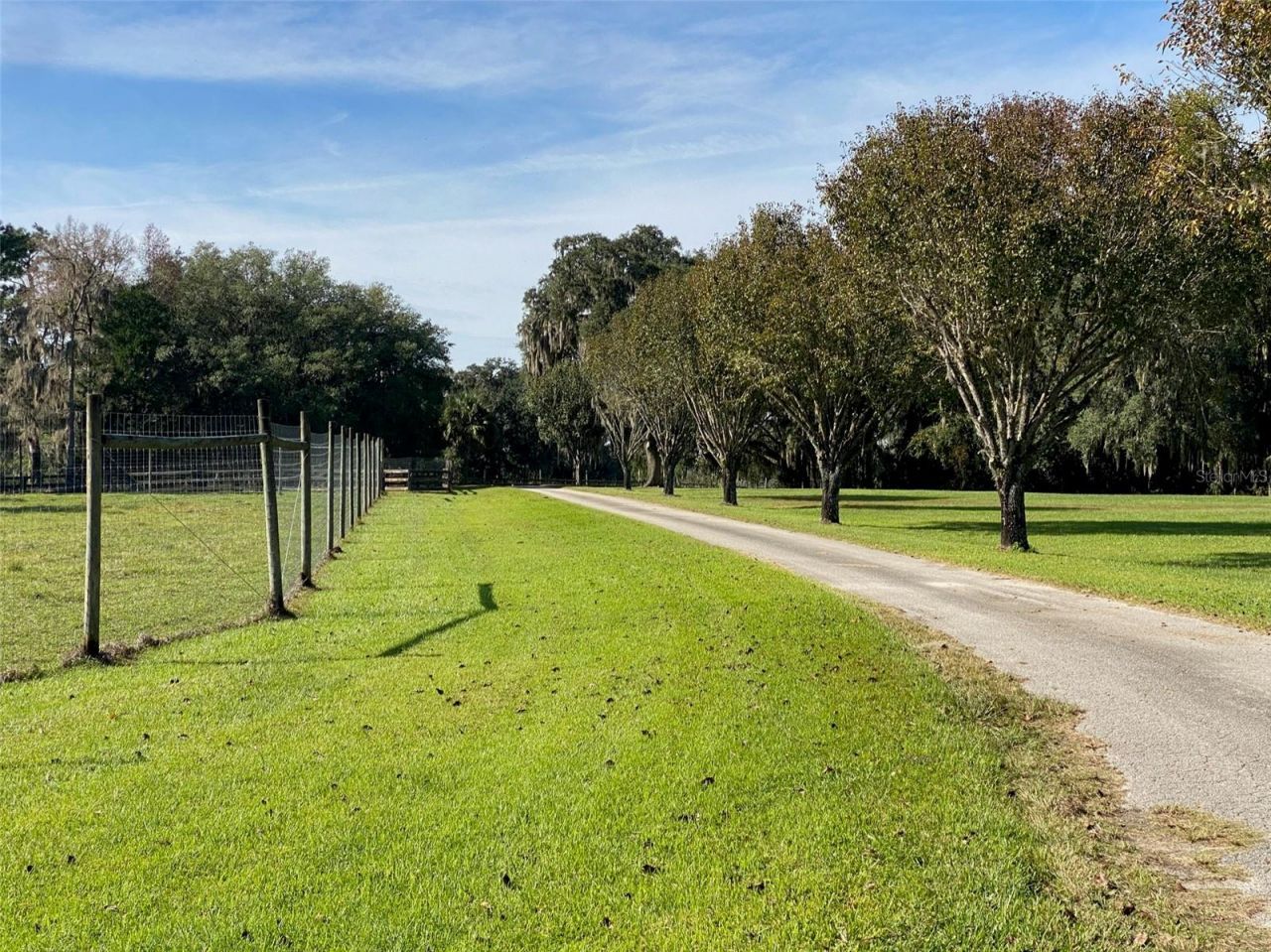 19350 NW 123rd Court, Micanopy, FL 32667 Photo