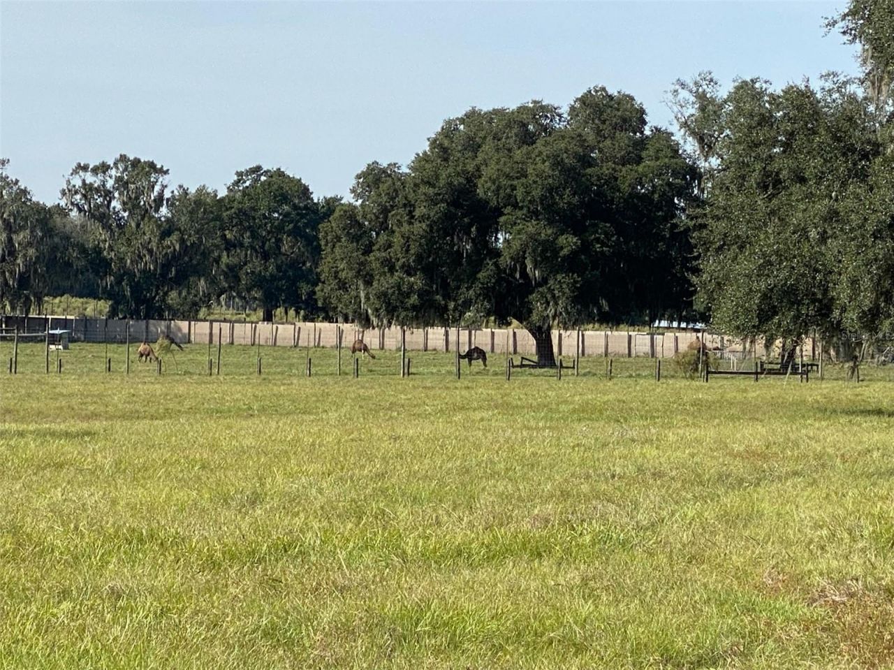 19350 NW 123rd Court, Micanopy, FL 32667 Photo