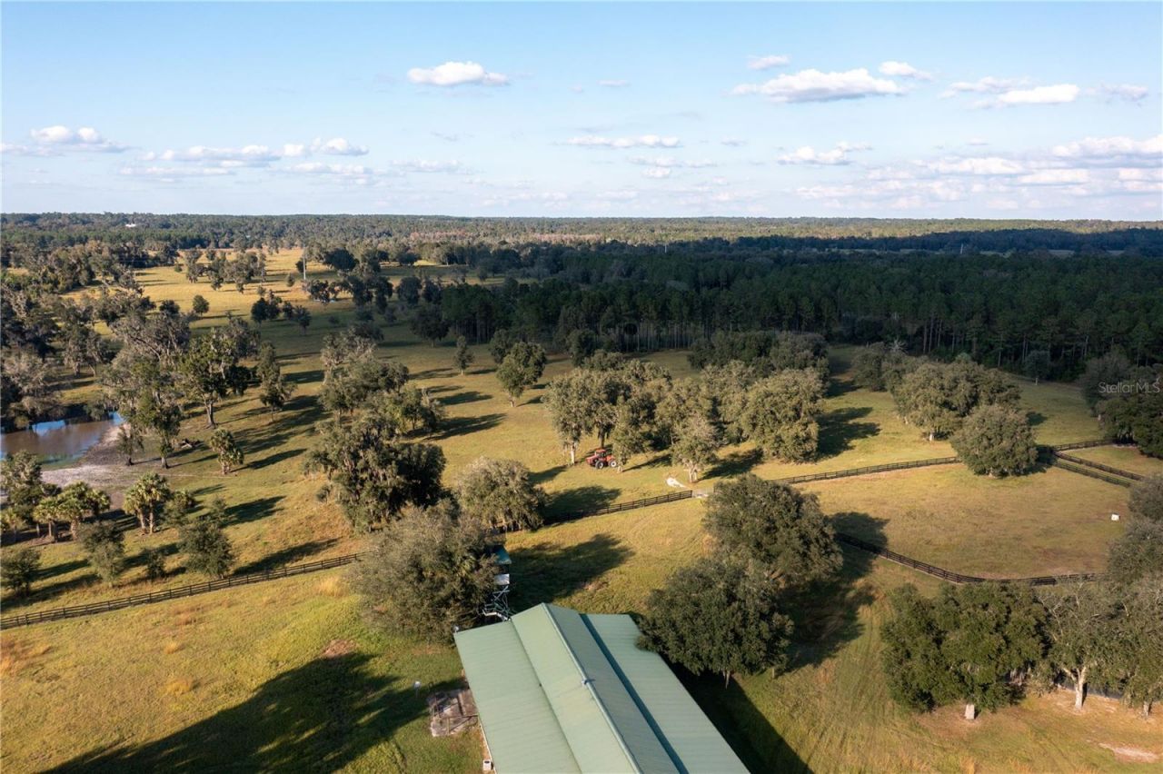 19350 NW 123rd Court, Micanopy, FL 32667 Photo