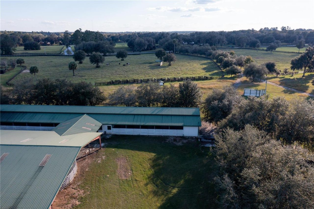 19350 NW 123rd Court, Micanopy, FL 32667 Photo