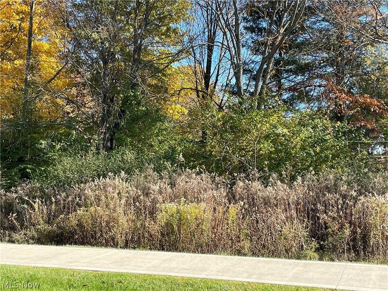 V/L Lawnmark Drive, Hudson, OH 44236 Photo 1