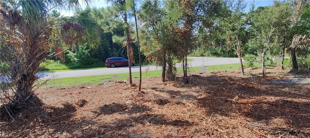 177 Cheshire St, Port Charlotte, FL 33953 Photo